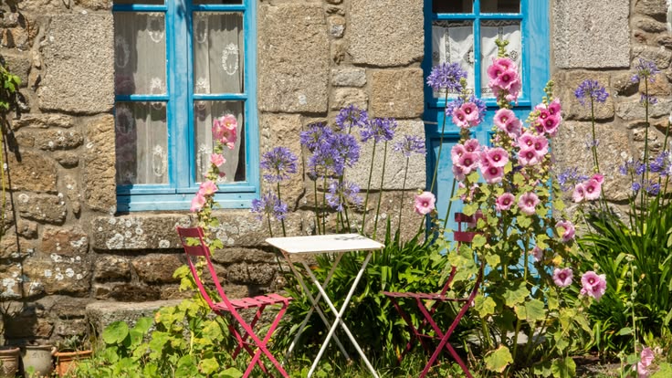 Terrasse fleurie devant un cottage en pierre, volets et porte bleus, roses trémières et agapanthes