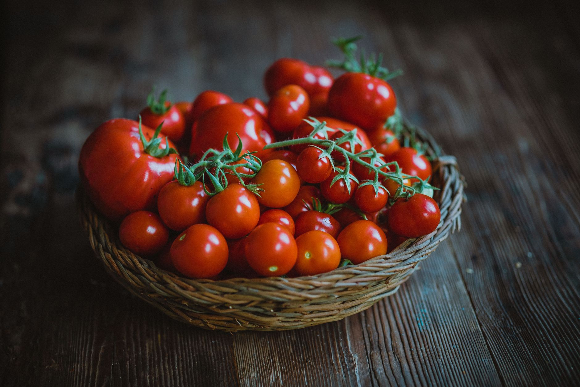 Que cuisiner avec un surplus de tomates ?